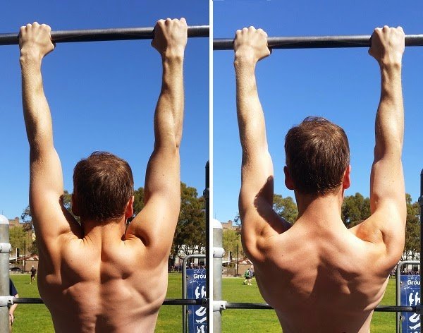 Scapula Pull-up