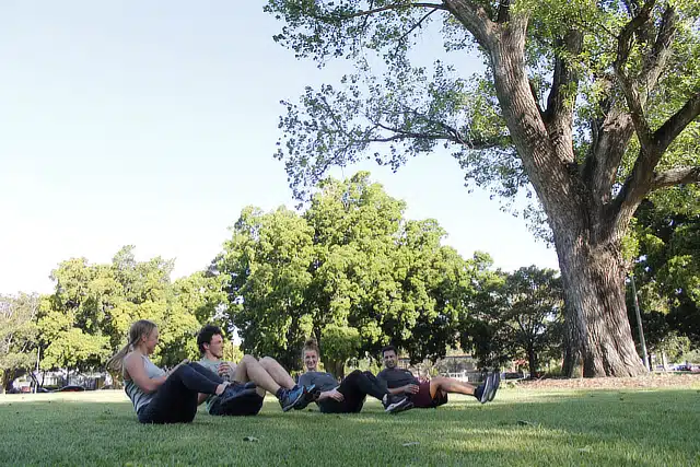 2 men and 2 women doing ab exercises in the park